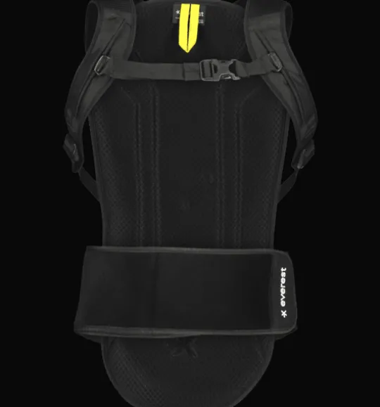 Back Protection
